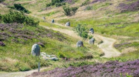 291613_kongenshus-hede-mindepark-viborg-foto-jesper-maagaard