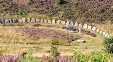 291614_kongenshus-hede-mindepark-viborg-foto-jesper-maagaard-2